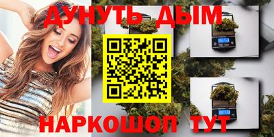 стафф Кинель
