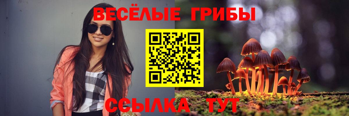 Алапаевск  Псилоцибиновые грибы прущие грибы  Псилоцибиновые грибы Psilocybine cubensis  Вход с VPN 